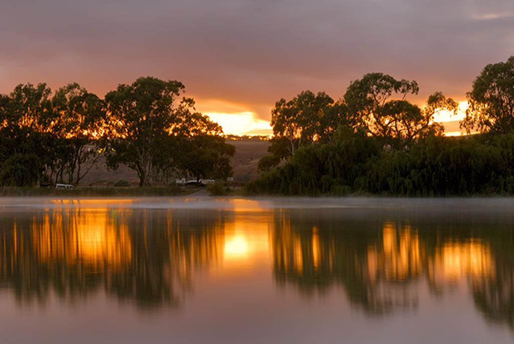 Riverview Rise Retreats Mannum Exterior foto