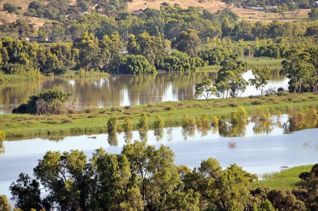 Riverview Rise Retreats Mannum Exterior foto