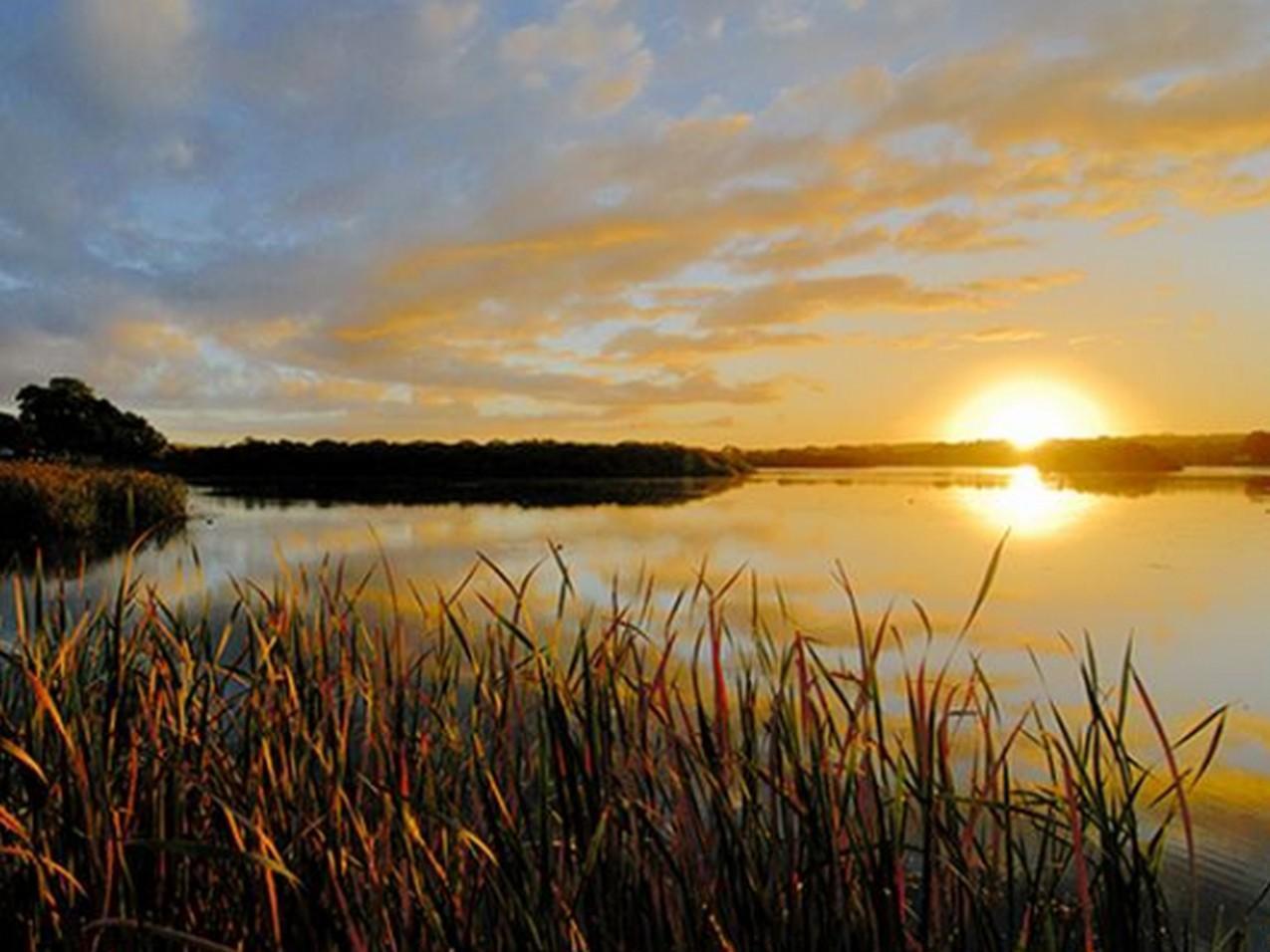 Riverview Rise Retreats Mannum Exterior foto