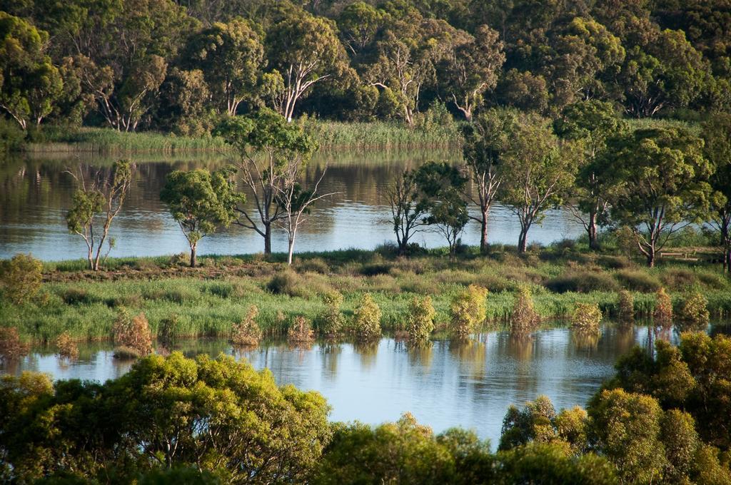 Riverview Rise Retreats Mannum Exterior foto