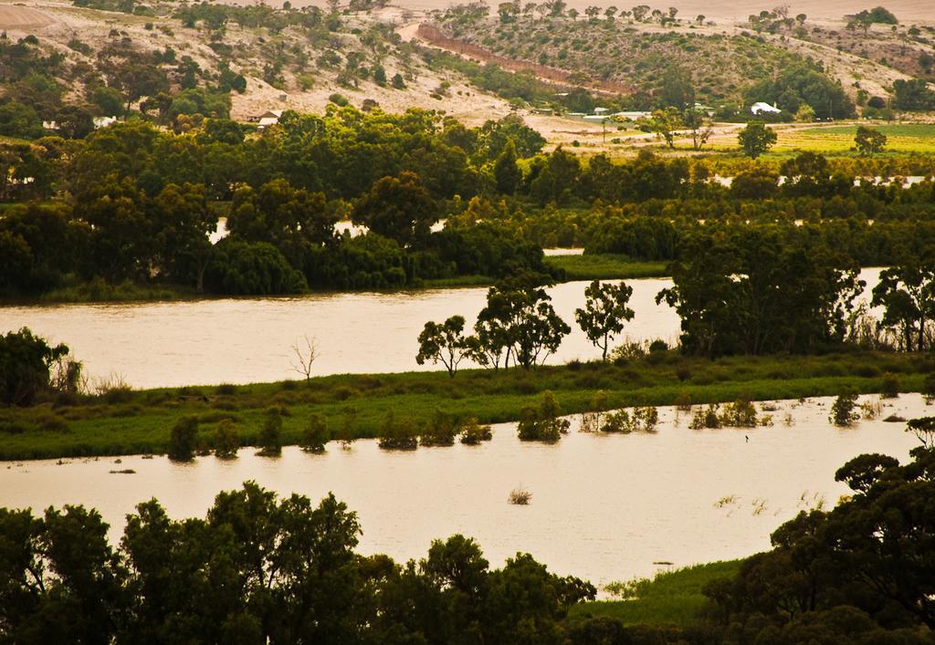 Riverview Rise Retreats Mannum Exterior foto
