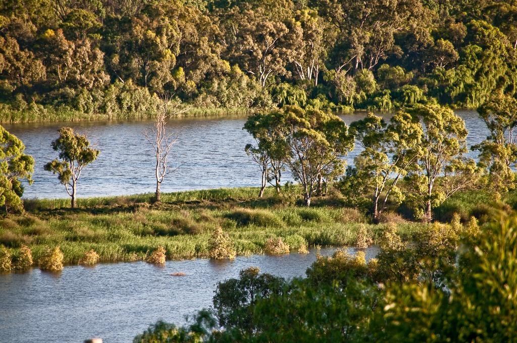 Riverview Rise Retreats Mannum Exterior foto
