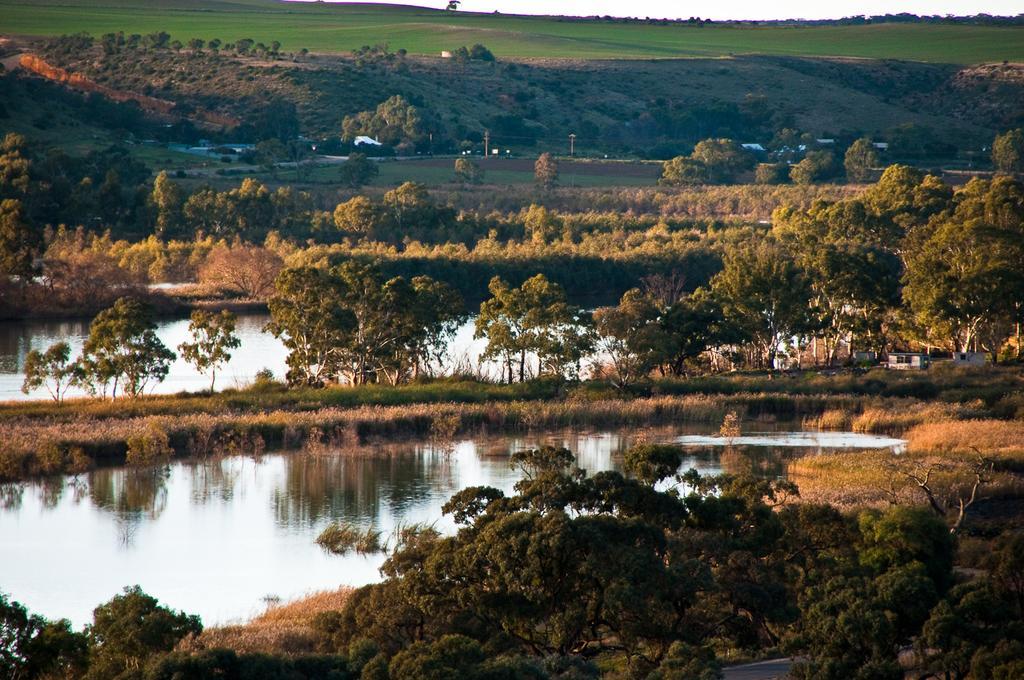 Riverview Rise Retreats Mannum Exterior foto
