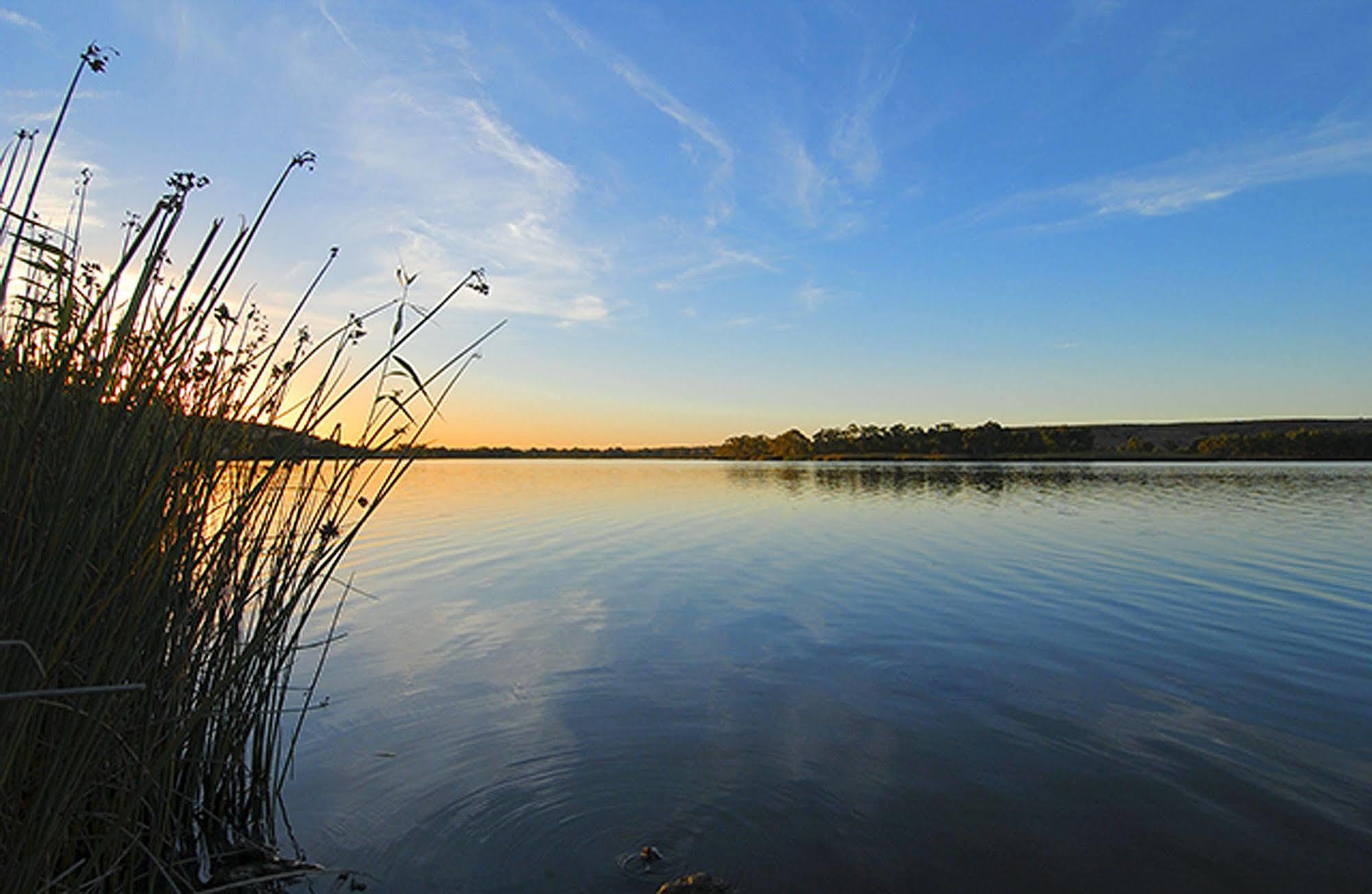 Riverview Rise Retreats Mannum Exterior foto
